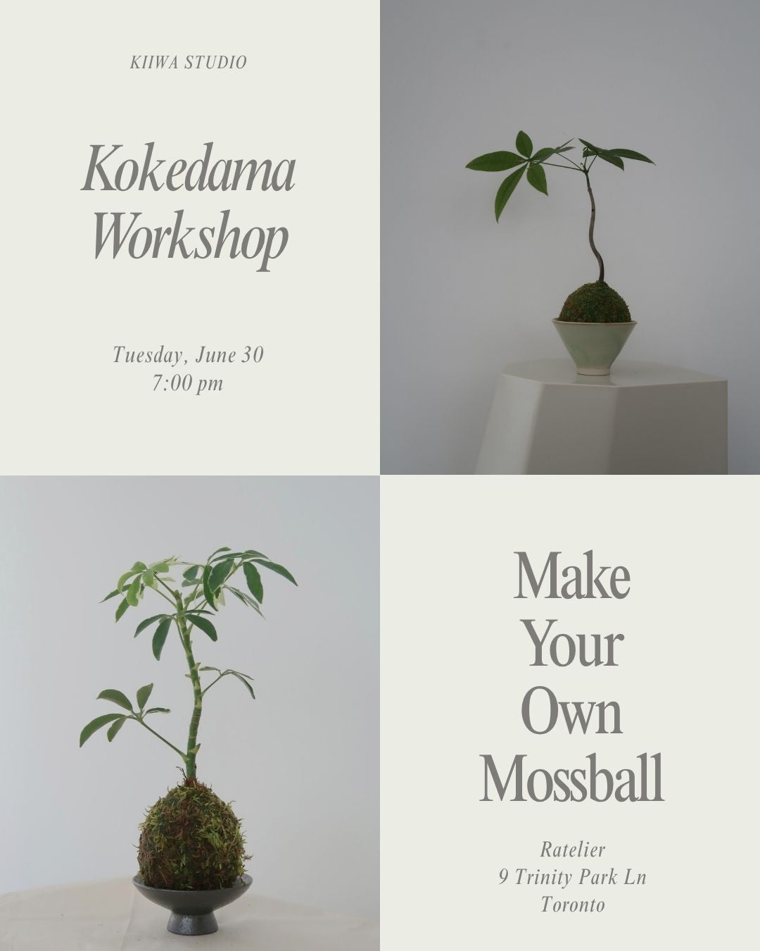 Kokedama Workshop, June 30 (Tax Included)