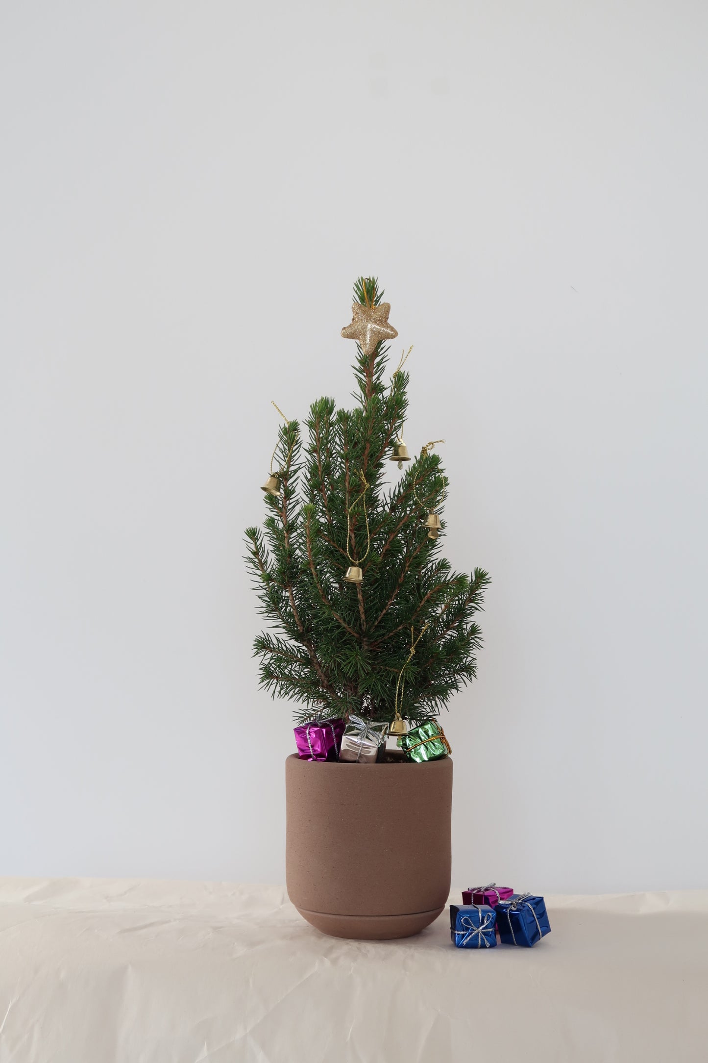 SPROUT Signature Planter_Mocha