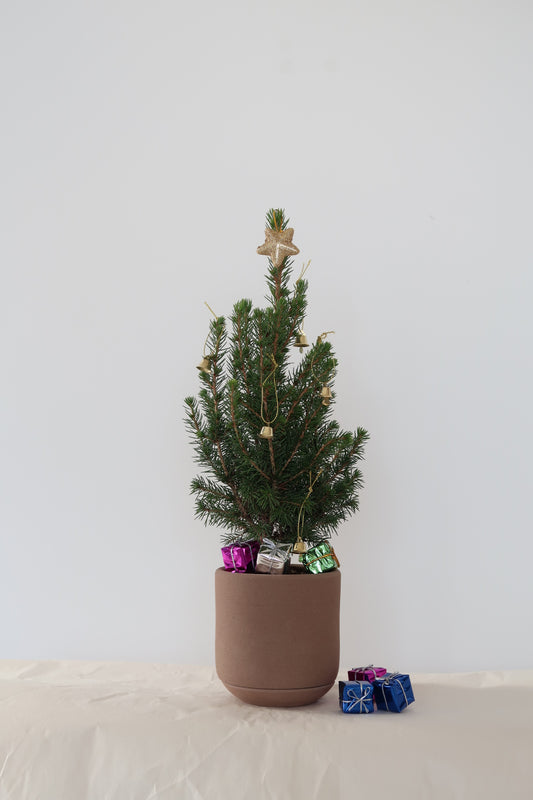 SPROUT Signature Planter_Mocha