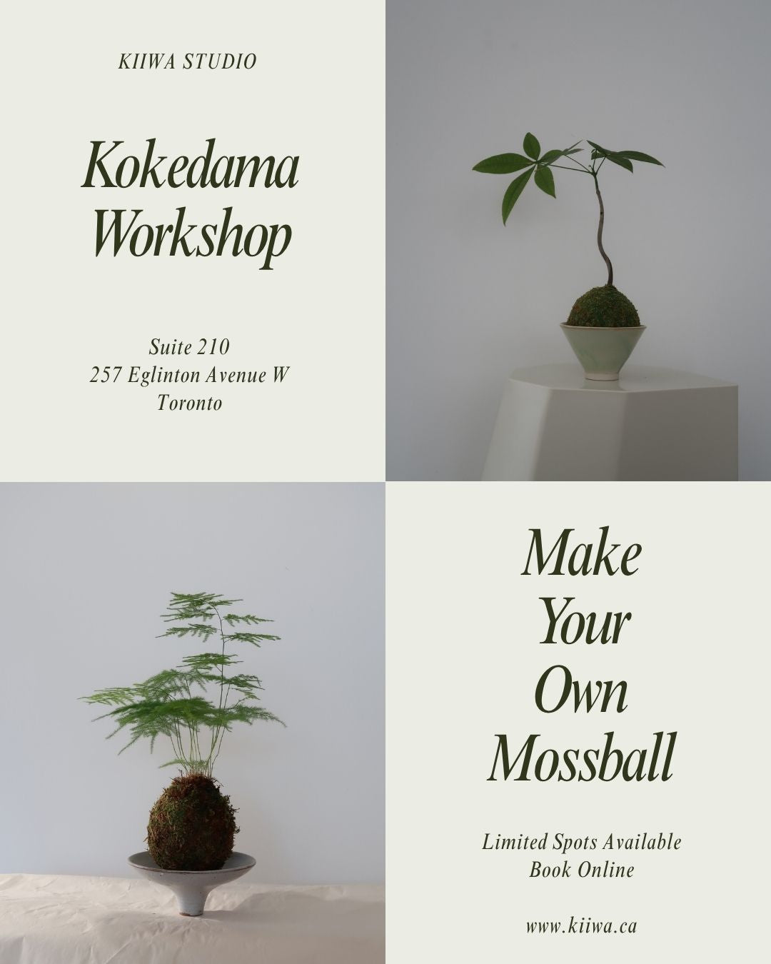 Kokedama Workshop, 6:30pm, September 25