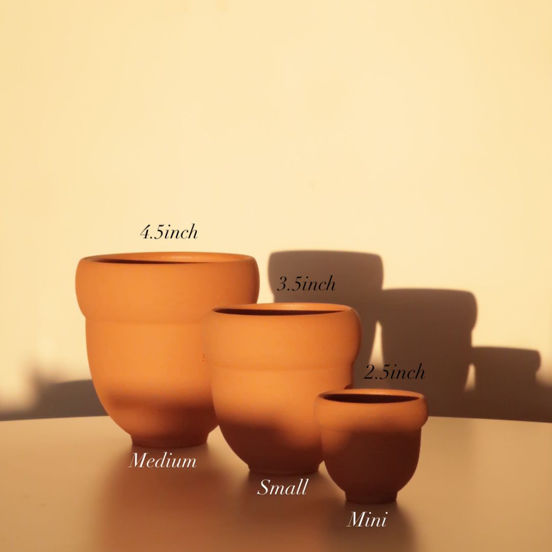 ACORN Planter_Mini